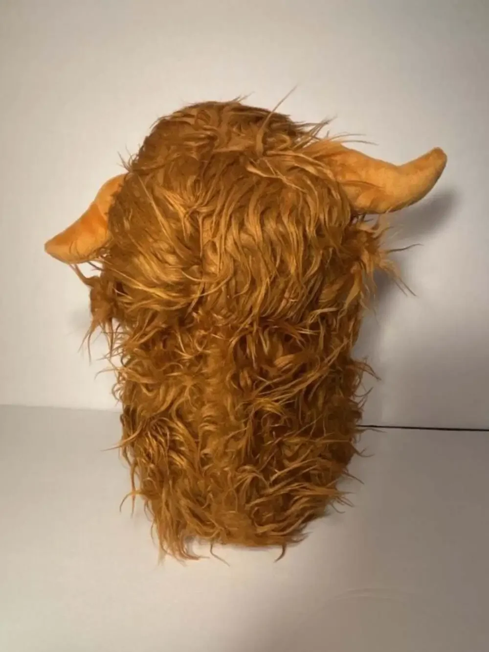 Sunshinehomely highland cow